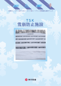 雪崩防止施設