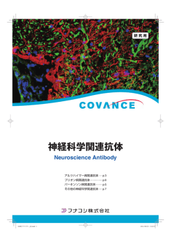 神経科学関連抗体