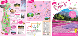 羊山公園芝桜の丘