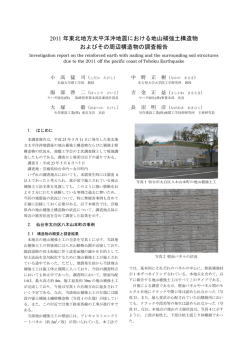 2011 年東北地方太平洋沖地震における地山補強土構造