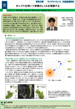 ゼニゴケを用いて受精のしくみを理解する