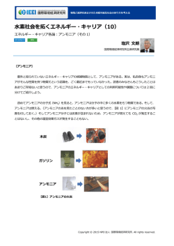 記事全文（PDF） - NPO法人 国際環境経済研究所｜International