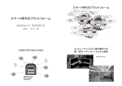PDF 形式