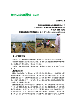 かきのたね通信 Vol.R6