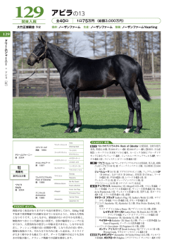 アビラの13