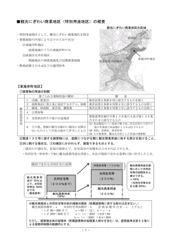 観光にぎわい商業地区（特別用途地区）の概要