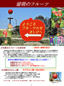 留萌のフルーツ