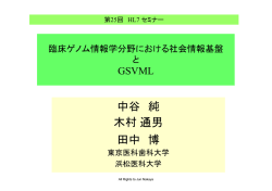 GSVML - 日本HL7協会