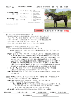 NO.17 セレクションセール・7月19日 NO.85
