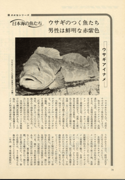 PDFファイルを表示