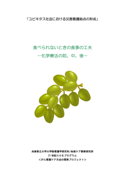 食べられないときの食事の工夫 －化学療法の前、中、後－