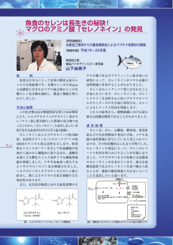 魚食のセレンは長生きの秘訣! マグロのアミノ酸「セレノネイン」の発見