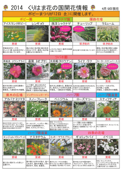 2014 くりはま花の国開花情報
