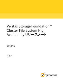 Veritas Storage Foundation&trade; Cluster File System High Availability
