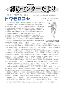 イネ科 トウモロコシ属 Zea mays