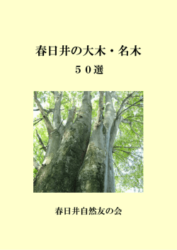 春日井の大木・名木