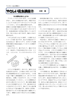 やさしい昆虫講座⑰ やさしい昆虫講座⑰