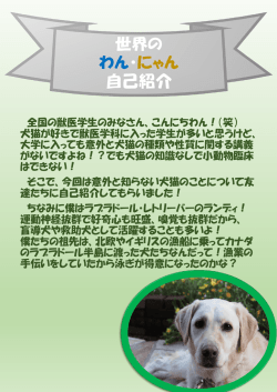 PowerPoint プレゼンテーション