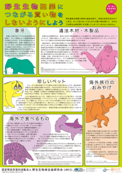 象牙 違法木材・木製品 珍しいペット 海外で食べるもの 海外旅行の