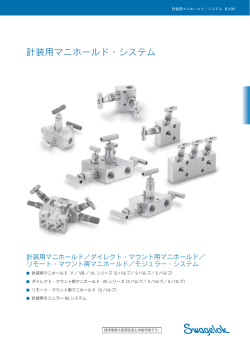計装用マニホールド - Swagelok