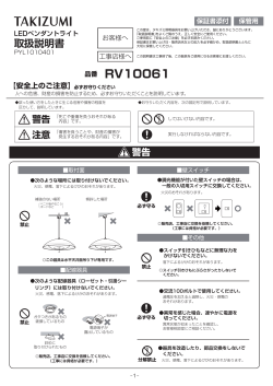 RV10061