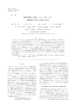 病原真菌の ABC トランスポーター