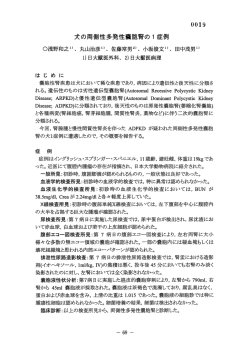 Page 1 Page 2 治 療 お よ び経過 左腎の経皮的胞穿刺は第 8 および第