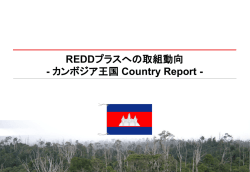 PDF資料のダウンロード（PDF: 1.2 MB）