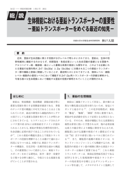 生体機能における亜鉛トランスポーターの重要性
