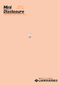 2014 Mini Disclosure