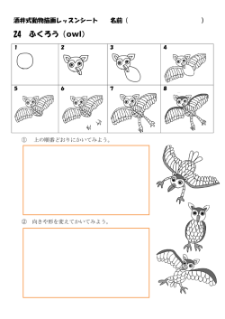 24 ふくろう（ owl）