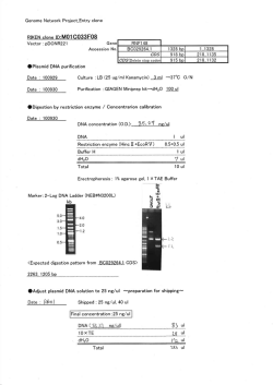 脚 融 - RIKEN BRC DNA BANK