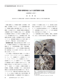 肝臓の静脈供給における副肝静脈の意義