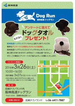 阪神高速 ドッグラン