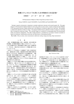 魚眼ステレオカメラを用いた水中物体の3次元計測