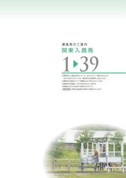 関東入厩馬
