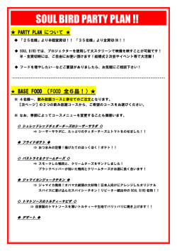 SOUL BIRD PARTY PLAN