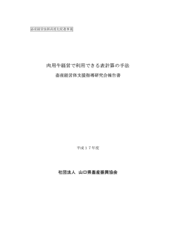 平成17年度 畜産経営高度化促進事業 肉用牛経営で利用できる表計算