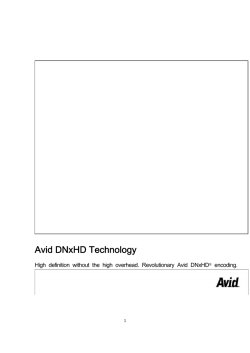 これ - Avid