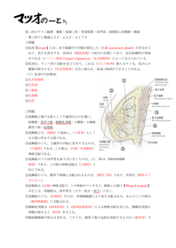 第二回小テスト範囲 胸筋・前頚三角・背部筋群・肩甲部・肋間筋と肋間隙
