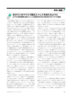 生きているマウスで酸化ストレスを見えるように