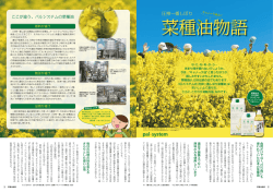 菜種油物語 - 生活協同組合パルシステム東京