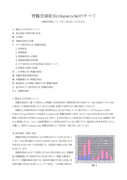 脊髄空洞症(Syringomyelia)のすべて