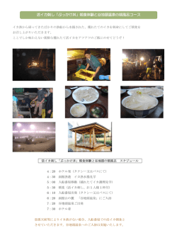 活イカ刺し「ぶっかけ丼」朝食体験と谷地頭温泉の朝風呂コース