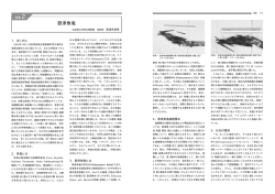歌津魚竜