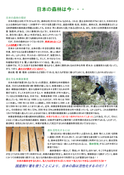 【参考】わりばしリサイクルについて