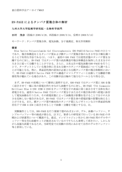 BN-PAGE によるタンパク質複合体の解析