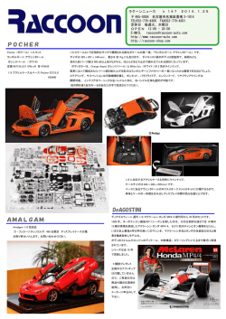 POCHER AMALGAM DeAGOSTINI