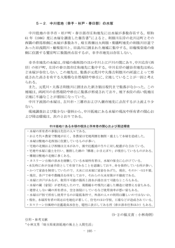の水塚 中川低地の幸手市・杉戸町・春日部市 6