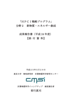 平成24年度HPCI戦略プログラム成果報告書